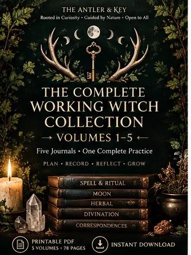 The Complete Working Witch Collection